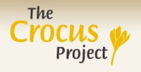 PROJEKT AFRAN - THE CROCUS PROJECT