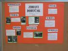 Plakat 7.C