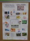 Plakat 6.C