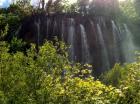 IMG_0709 (400x299)