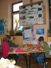 Gornji Miholjac 2009 012