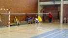 Picture 006