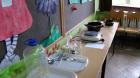 DSC00229