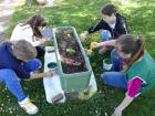 20150423_102818 (2)