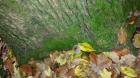20151029_115031