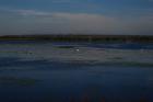 Terenska_grudnjak_00029