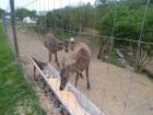 Madja_park00020