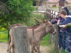 Madja_park00024