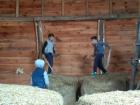 Madja_park00028