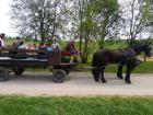 Madja_park00030