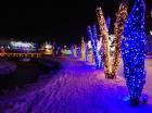 IMG-7c8b158ef12bb03e1df7ce4bb9e9755d-V