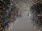IMG-8294e3e5de81baa6dfbc5cef0f2bb83d-V