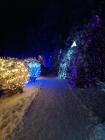 IMG-B16f6cda82ba6159763be23b3201b33b-V