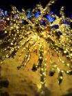 IMG_20181214_184127