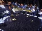 IMG_20181214_190652