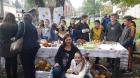 IMG-378cd424b7d074aad27f1f782fd79086-V