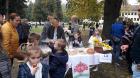 IMG-4c153f586cb8f0e49f0381e530972fdb-V