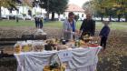IMG-606f92258ead0f10d393d951748d0399-V