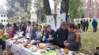 IMG-8917c035026d1737947b49a8701fcf73-V