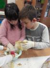 IMG-8c54b4496442ce89bdbc6d26d9ea72dc-V