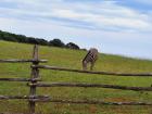 IMG-7837ba1f1d91f5cfc6d1fafa594be037-V