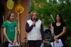 IV_P8263
