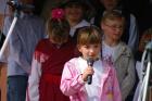 IV_P8291