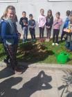 IMG-02e3c6cb603b56fe986f9cb6ff51ddc0-V