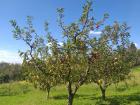 IMG-176df5db1a5380ae37dbc4107a9538b3-V