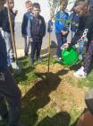 IMG-C6d642acae164df6b302cd3a4d5b4182-V