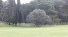 20160329_101055