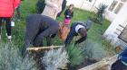 IMG-20161117-WA0005
