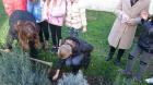 IMG-20161117-WA0006