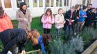 IMG-20161117-WA0011 (1)