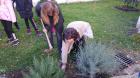 IMG-20161117-WA0012