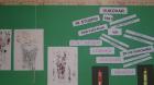 IMG-20161118-WA0012