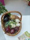 IMG_20230926_131712