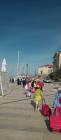 IMG-C693101c3fce852bbb1c9457d4760344-V