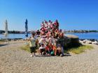 3b TN (2)