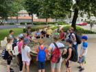 4NV PULA (2)