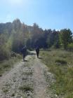 Izlet Gomila _10 2021 (12)
