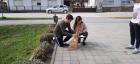 Viber_slika_2023-03-23_18-55-58-953