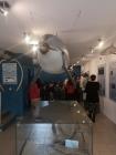 IMG-020ba2c282507b98cb71be92cdadabe9-V