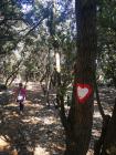 IMG_20220327_141913