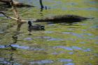 IMG-20220512-WA0018