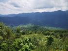IMG-5c5a80f468dd8aba8584584abf363f64-V