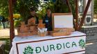 #U017dupanijska Smotra (1)