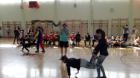 IMG_20170228_134616