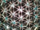 IMG-F0296bde5603eb75ae57c736404748ca-V
