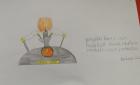 IMG_20191112_135210_800x487